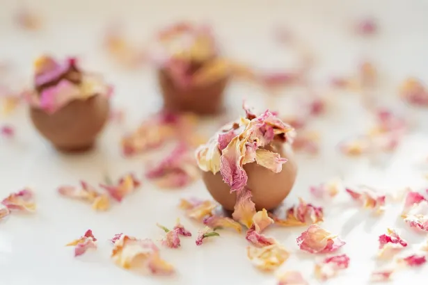 Moon Kasyno Aplikacja Android/iOS